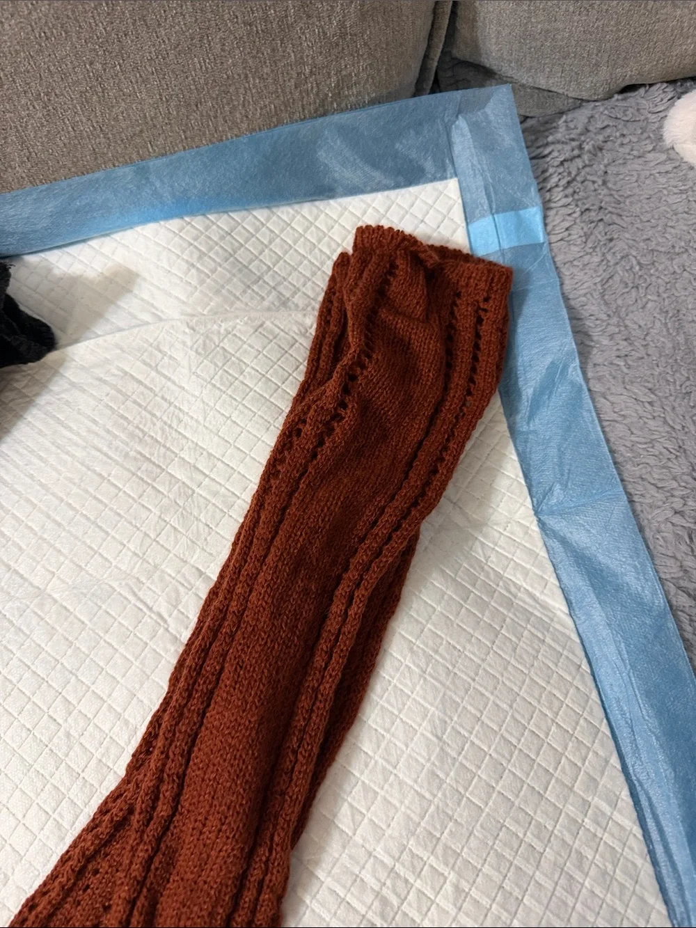 Free people Knitted sock bundle knee high